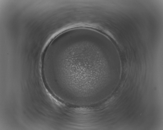 X0000081351508200701111441