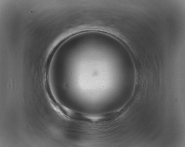 X0000081351511200701111441