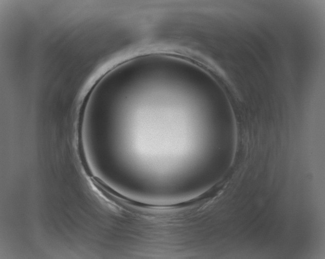 X0000081351512200701111441