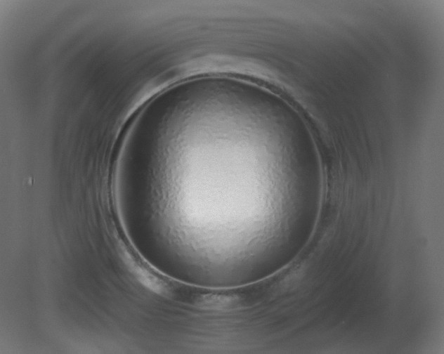 X0000081351513200701111441
