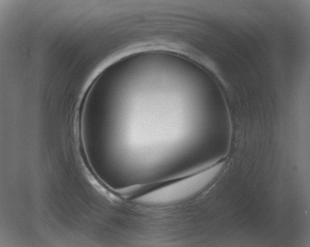 X0000081351516200701111441