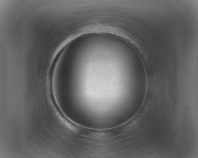 X0000081351517200701111441