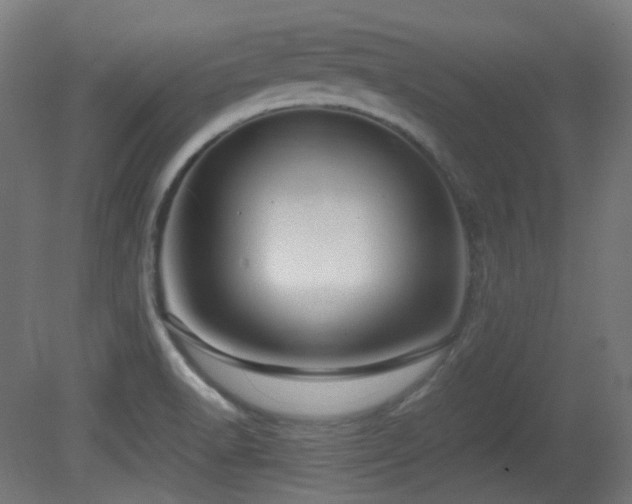 X0000081351518200701111441