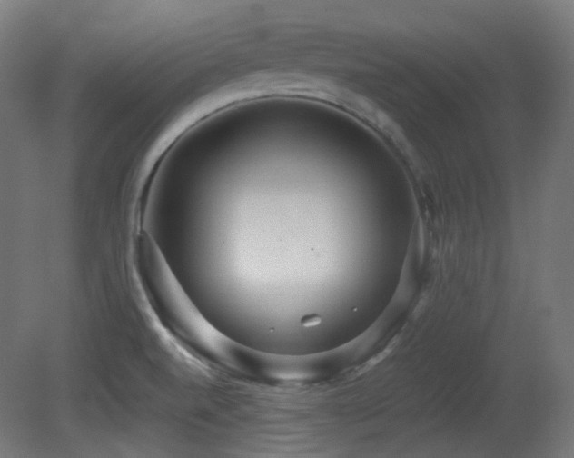 X0000081351520200701111441