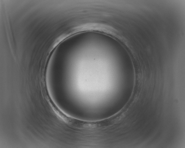 X0000081351521200701111441