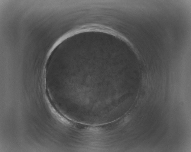X0000081351522200701111441