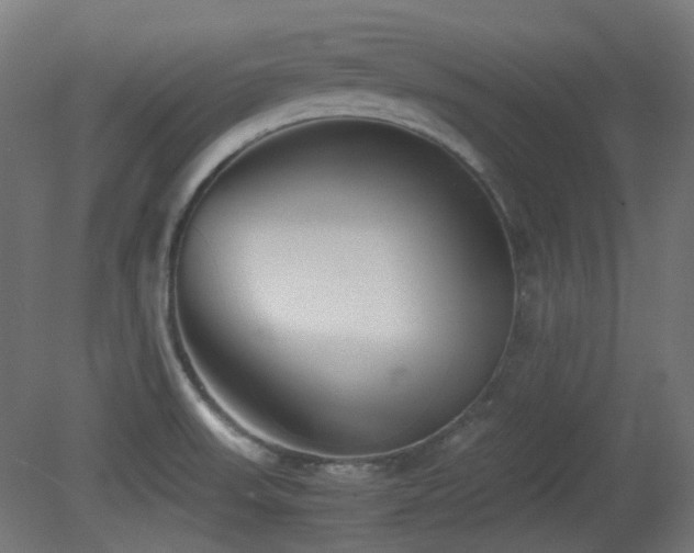 X0000081351523200701111441