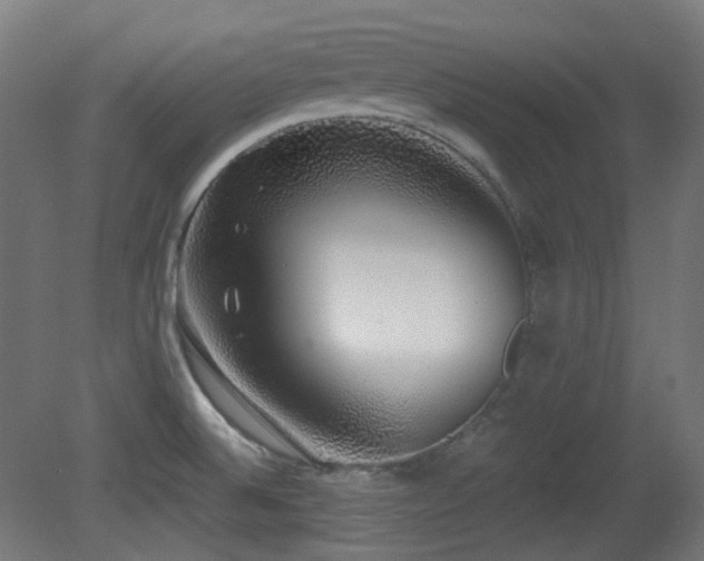 X0000081351524200701111442
