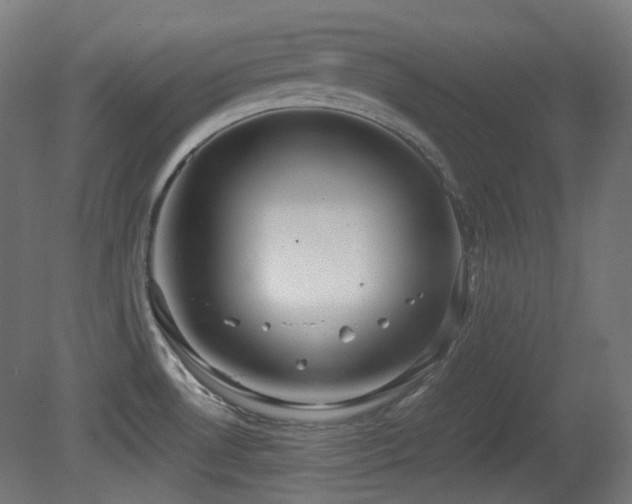 X0000081351530200701111442
