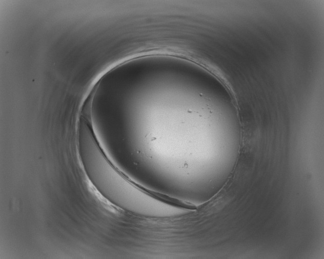 X0000081351532200701111442