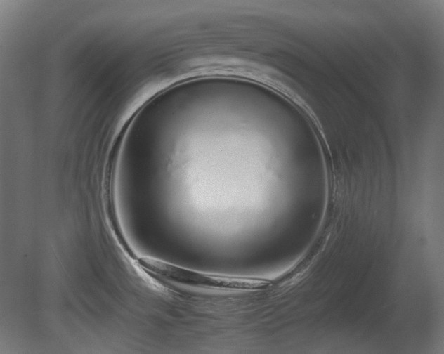 X0000081351533200701111442