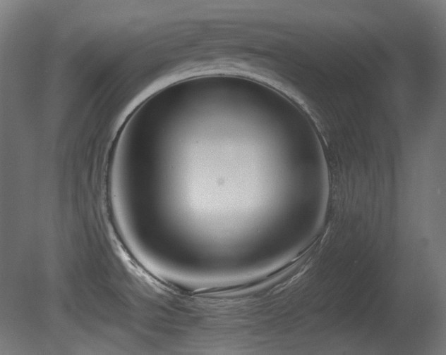 X0000081351534200701111442