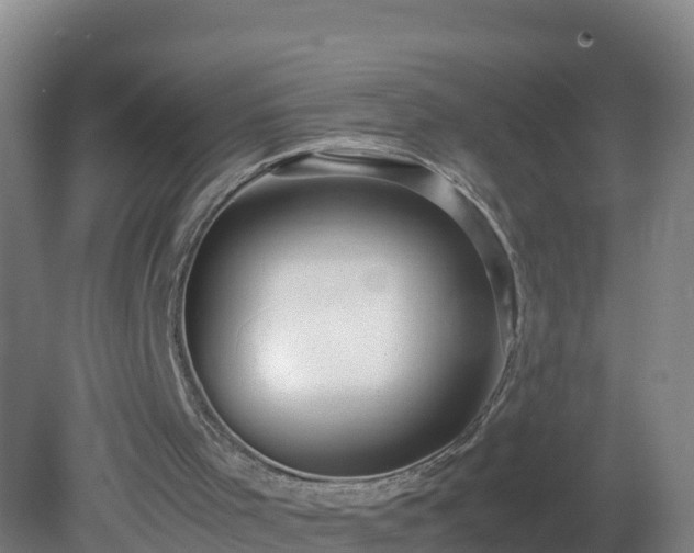 X0000081350001200701182059