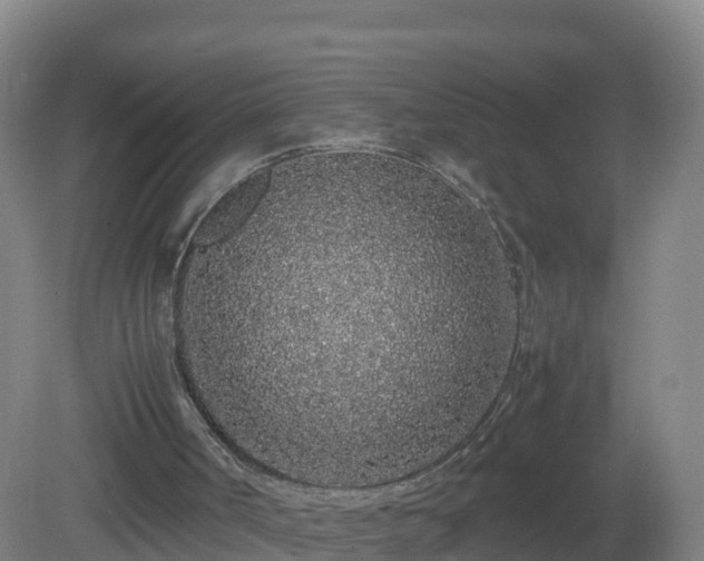 X0000081350002200701182059