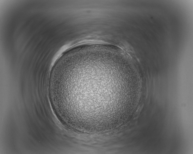 X0000081350003200701182059