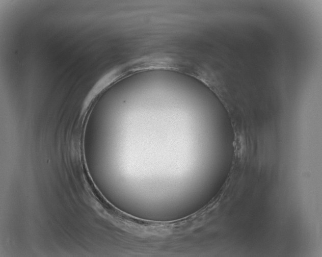 X0000081350004200701182059