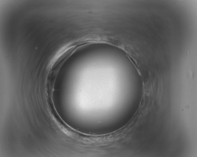 X0000081350005200701182059