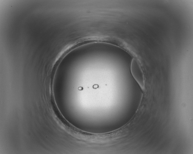 X0000081350011200701182059