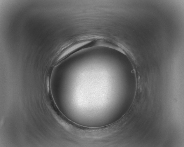X0000081350013200701182058