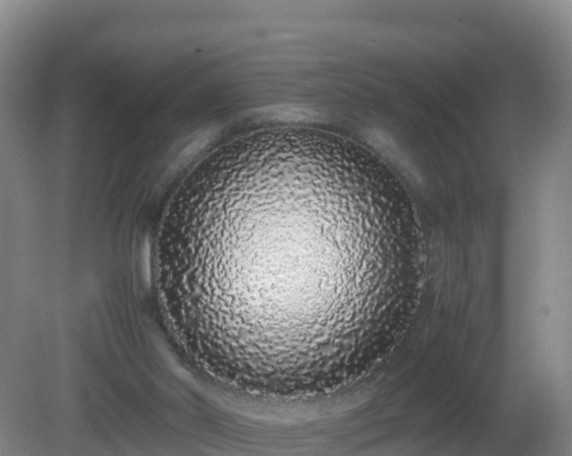 X0000081350014200701182058