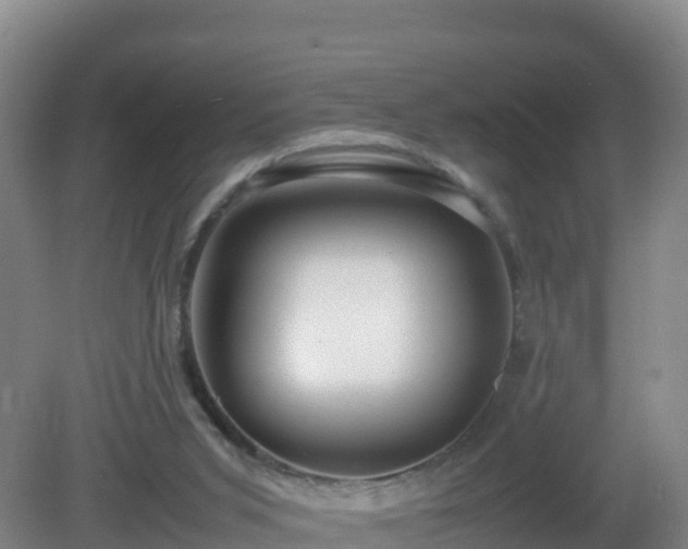 X0000081350015200701182058