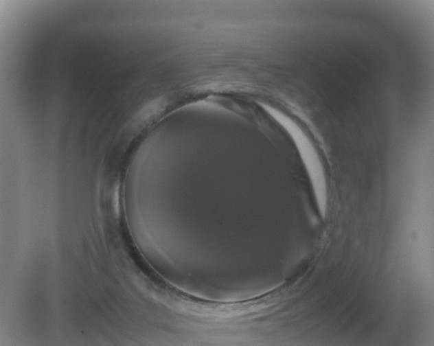 X0000081350019200701182058
