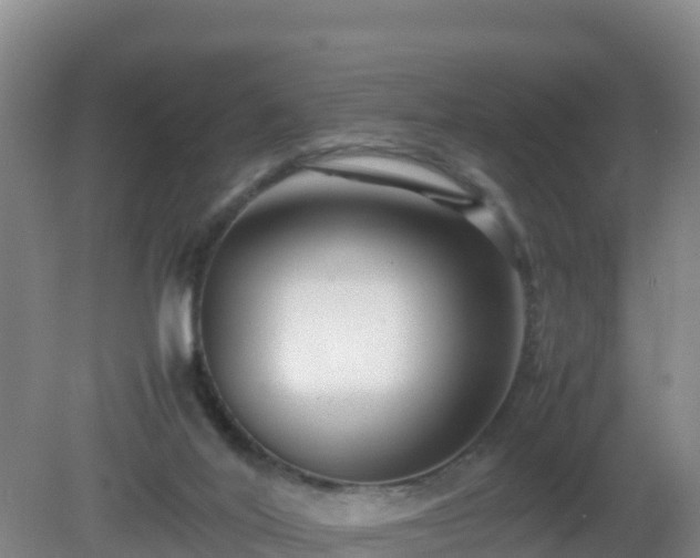X0000081350020200701182058