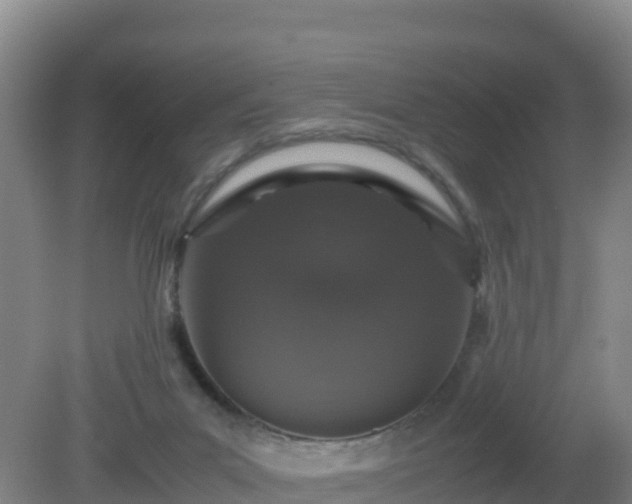 X0000081350023200701182058