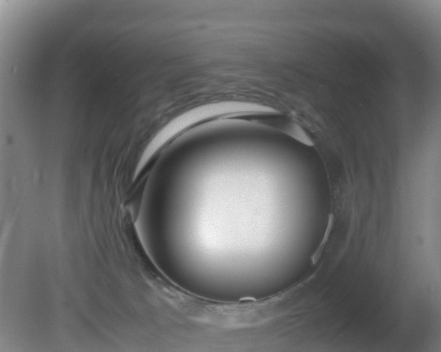 X0000081350033200701182058