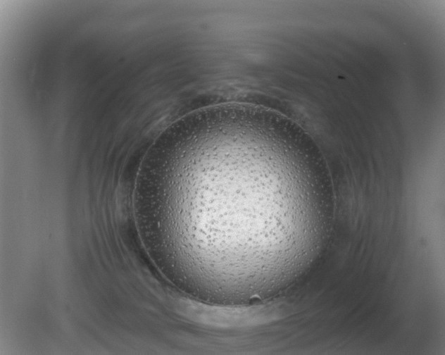 X0000081350034200701182058