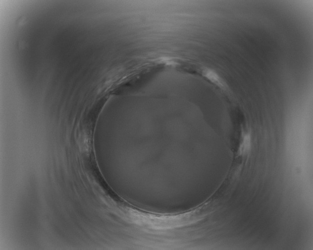 X0000081350039200701182058