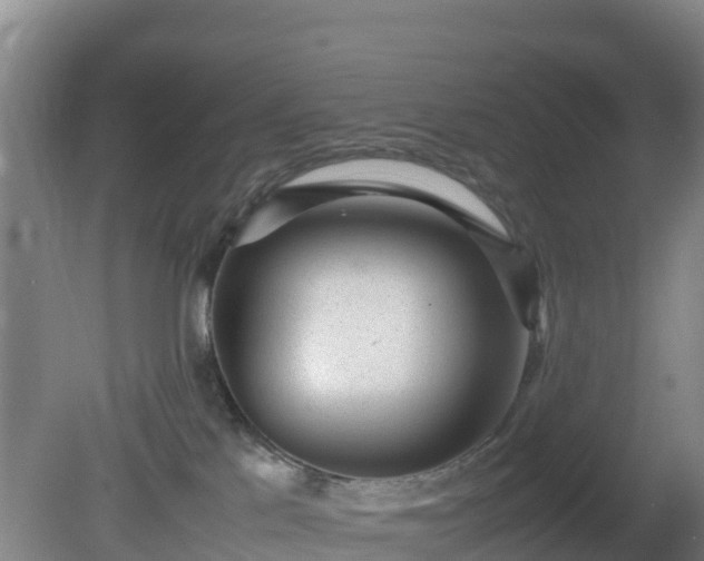 X0000081350041200701182058