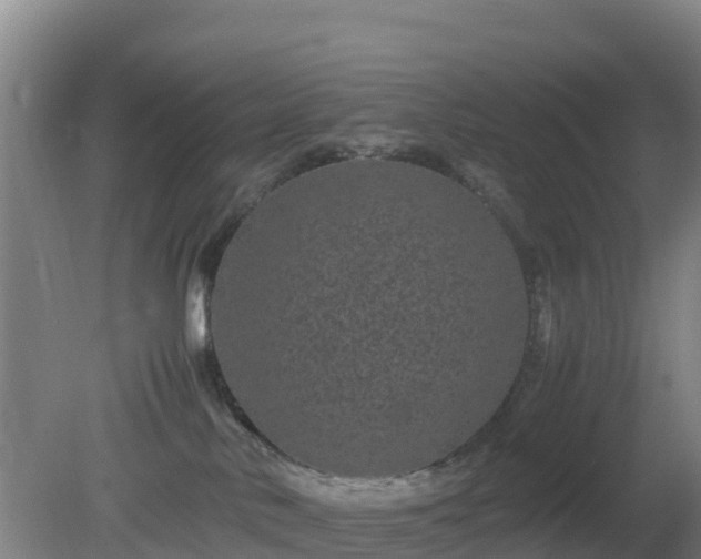 X0000081350042200701182058