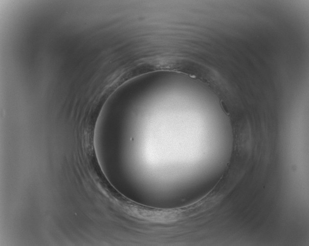 X0000081350044200701182058