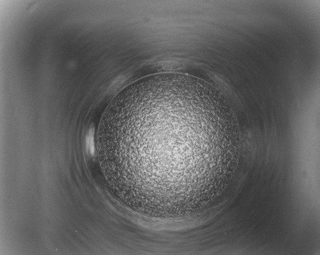 X0000081350046200701182058