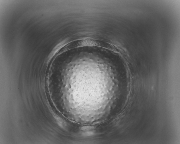 X0000081350051200701182057