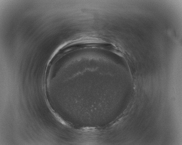 X0000081350052200701182057