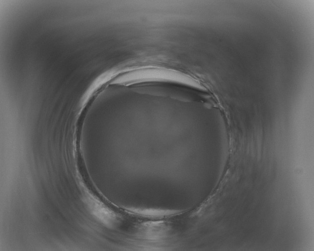 X0000081350054200701182057