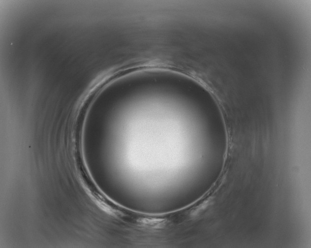X0000081350055200701182057