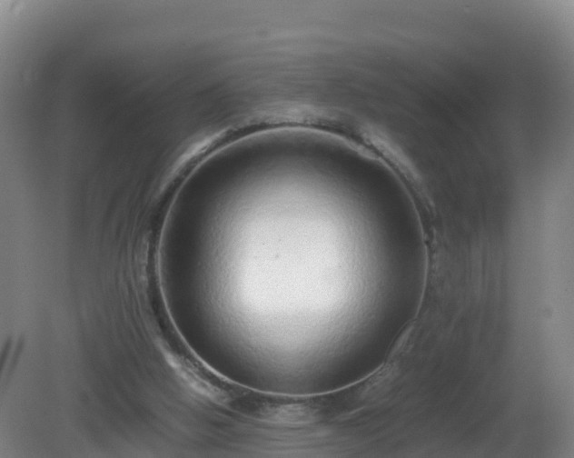 X0000081350058200701182057