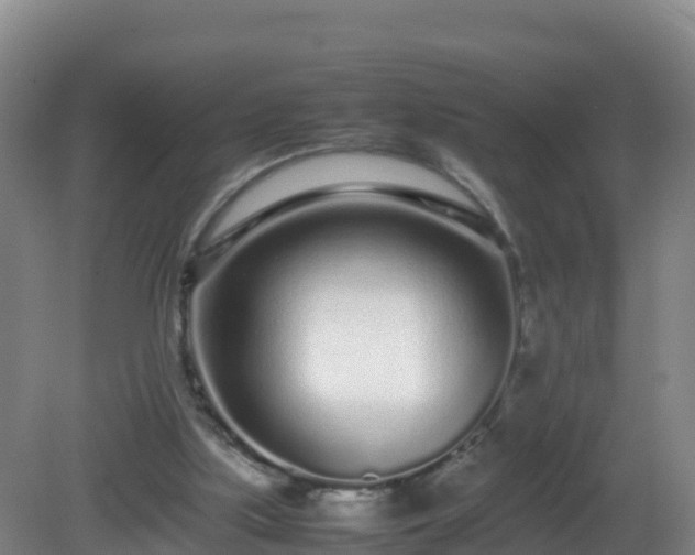 X0000081350059200701182057