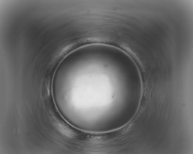 X0000081350062200701182057