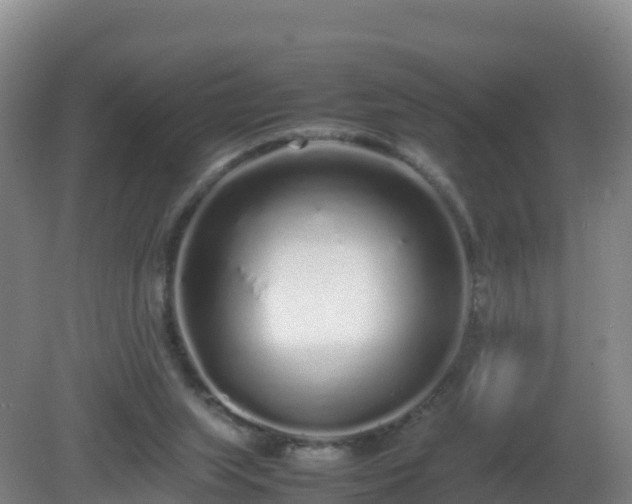 X0000081350063200701182057