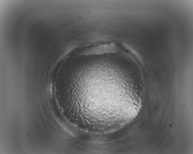 X0000081350067200701182057