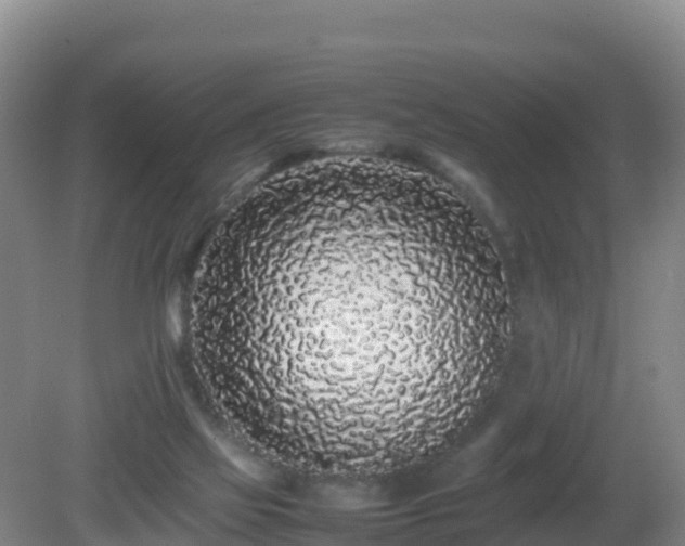 X0000081350069200701182057