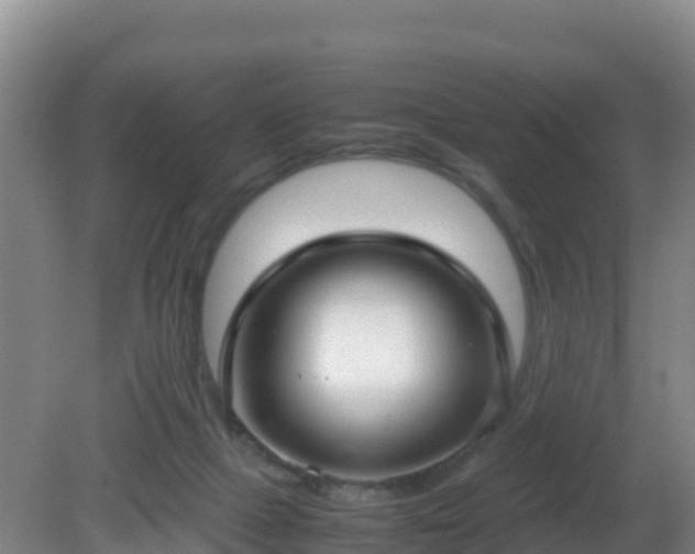 X0000081350073200701182057