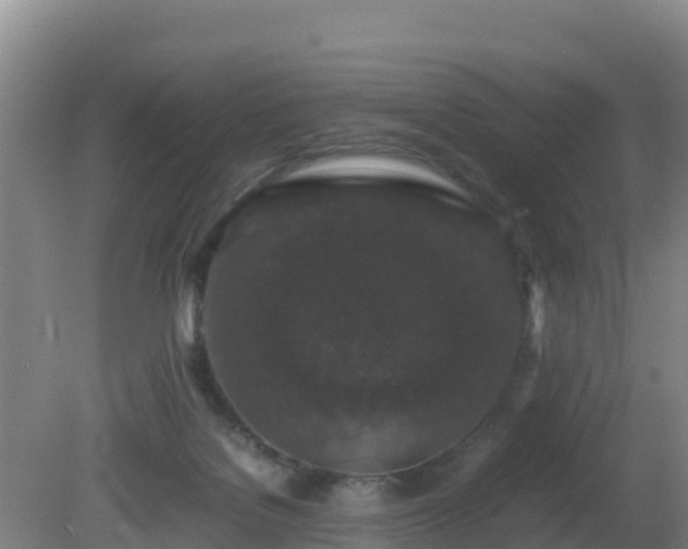 X0000081350076200701182058