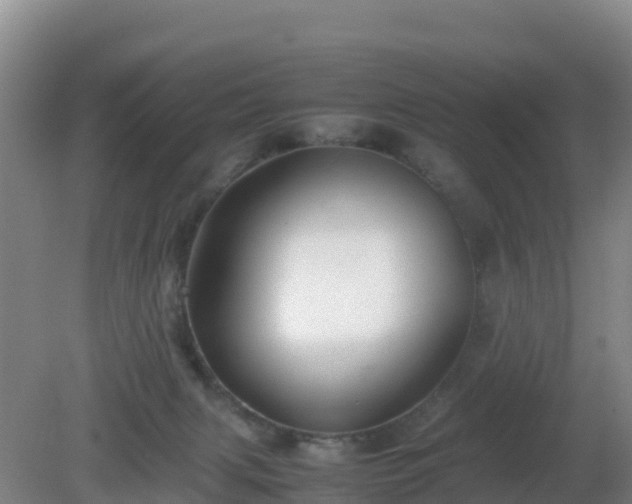 X0000081350079200701182058