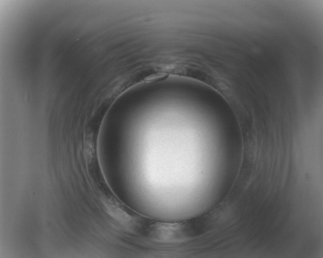 X0000081350085200701182058