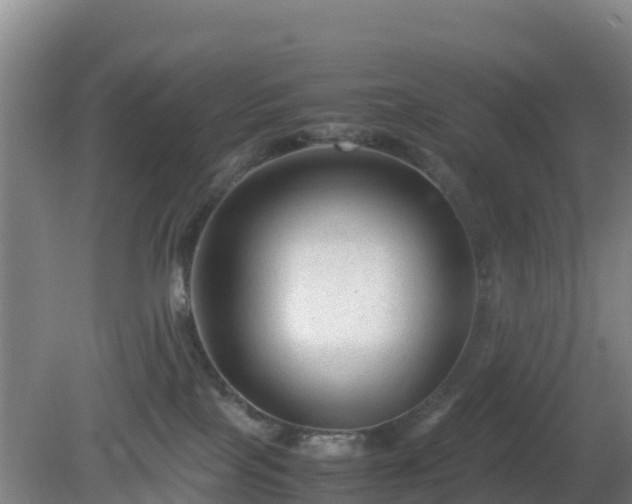 X0000081350089200701182058